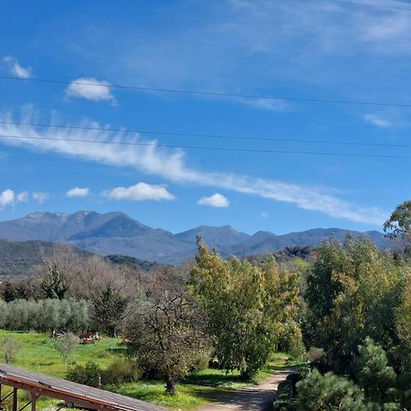 Agriturismo La Petrosa Ceraso Exteriér fotografie
