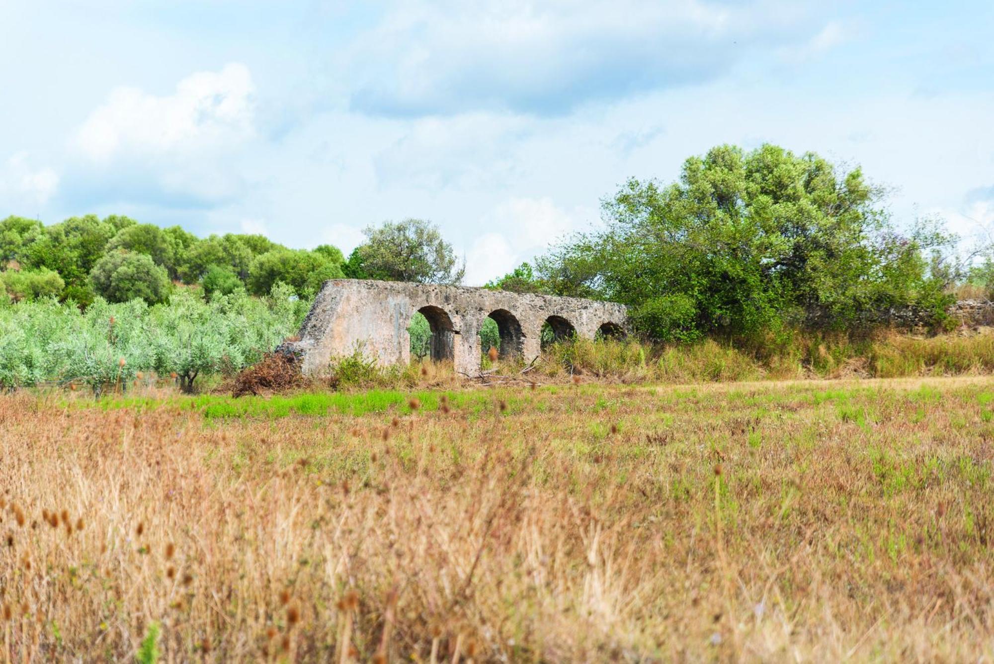 Agriturismo La Petrosa Ceraso Exteriér fotografie